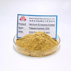 Natural 30% Hericium Erinaceus Extract Capsules From HONGDA