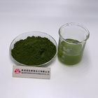 High Protein Chlorella Natural Spirulina Extract Powder