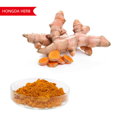 純植物抽出物 カルキュマ ロンガ 粉 95% HPLC 抗酸化 抗炎症